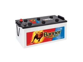 Trakční baterie Banner Energy Bull 96801, 230Ah, 12V (96801)